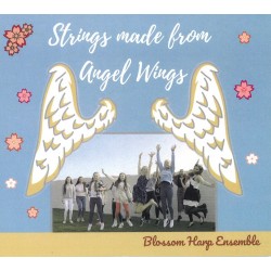 Strings made from Angel Wings